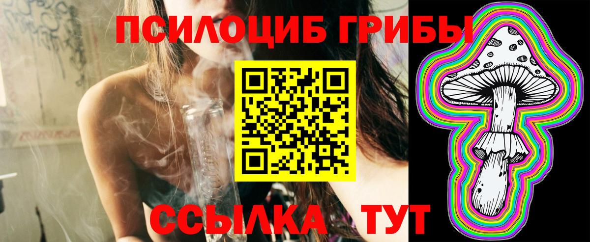 Галлюциногенные грибы Psilocybine cubensis Волхов